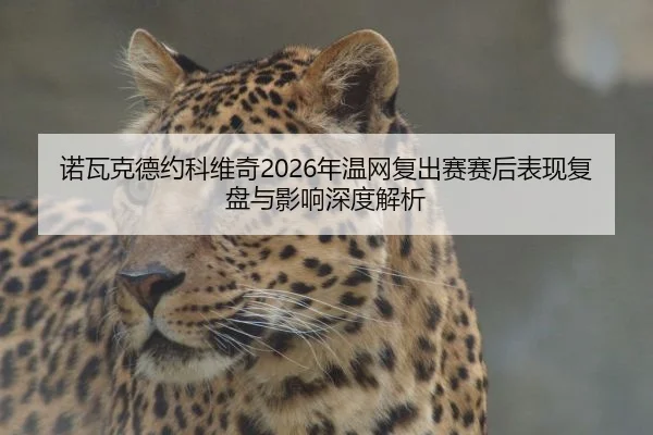 nuo-wa-ke-de-yue-ke-wei-qi-nian-wen-wang-fu-chu-sai-sai-hou-biao-xian-fu-pan-yu-ying-xiang-shen-du-jie-xi-2-669.jpg