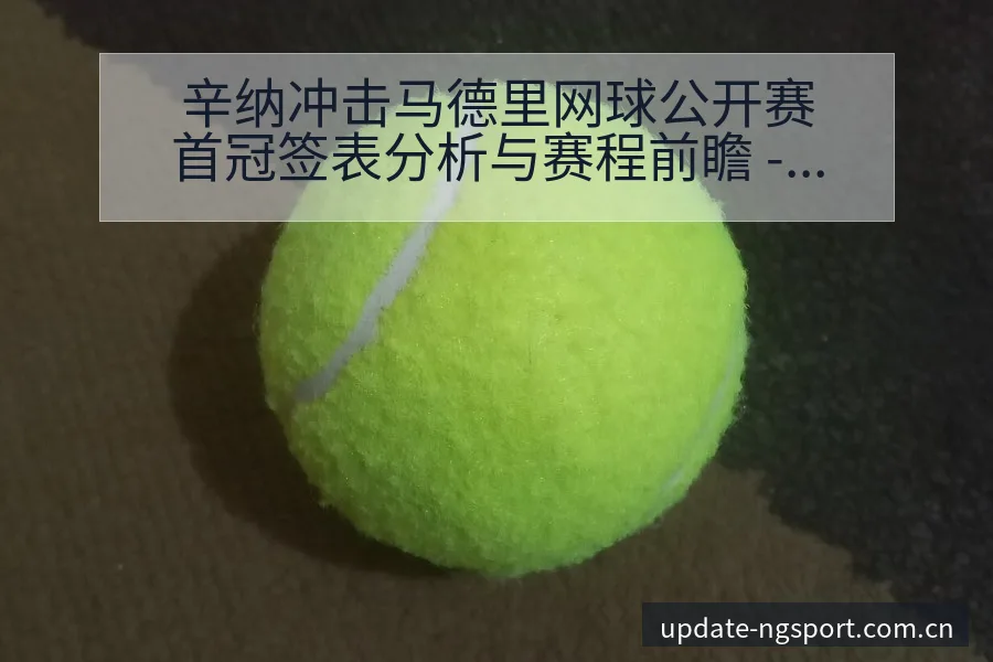 辛纳冲击马德里网球公开赛首冠签表分析与赛程前瞻 - NG体育
